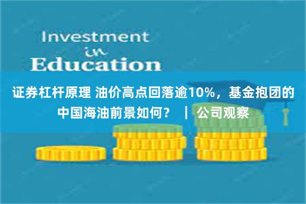 证券杠杆原理 油价高点回落逾10%，基金抱团的中国海油前景如何？ ｜ 公司观察