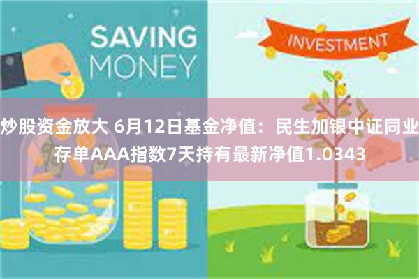 炒股资金放大 6月12日基金净值：民生加银中证同业存单AAA指数7天持有最新净值1.0343