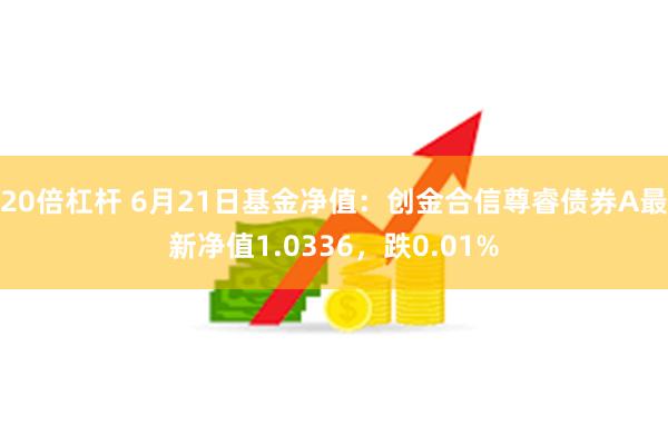 20倍杠杆 6月21日基金净值：创金合信尊睿债券A最新净值1.0336，跌0.01%