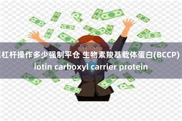 股票杠杆操作多少强制平仓 生物素羧基载体蛋白(BCCP) ； biotin carboxyl carrier protein