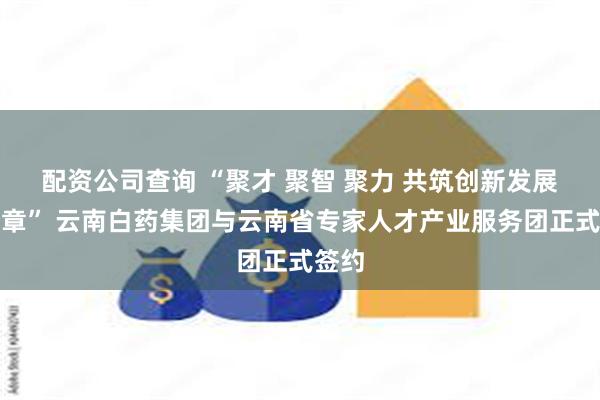 配资公司查询 “聚才 聚智 聚力 共筑创新发展新篇章” 云南白药集团与云南省专家人才产业服务团正式签约