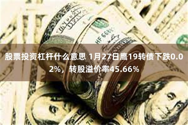 股票投资杠杆什么意思 1月27日鹰19转债下跌0.02%，转股溢价率45.66%