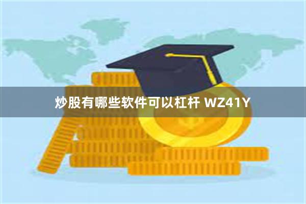 炒股有哪些软件可以杠杆 WZ41Y