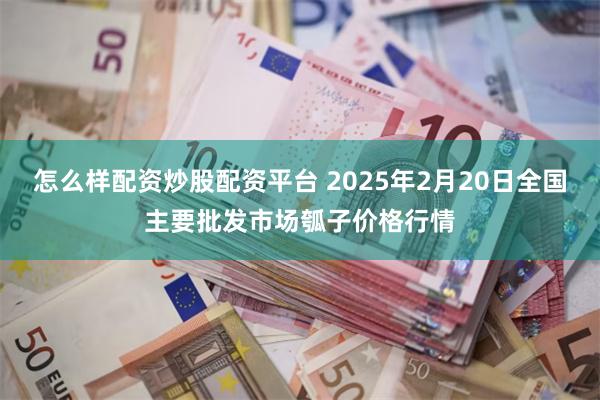 怎么样配资炒股配资平台 2025年2月20日全国主要批发市场瓠子价格行情