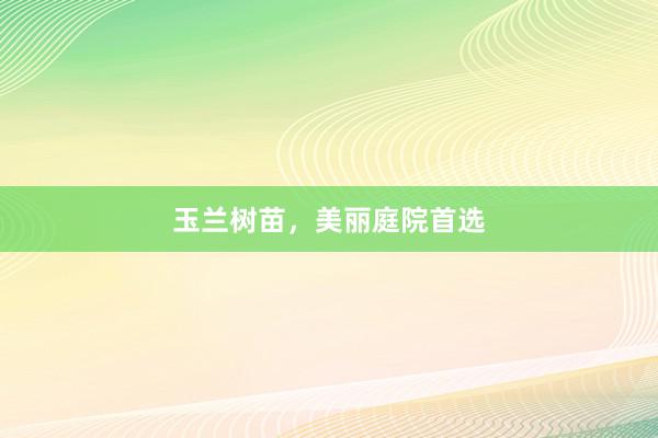 玉兰树苗，美丽庭院首选